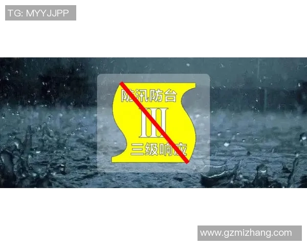 深入分析上海攀岩队盯防策略与战术运用的专业解读